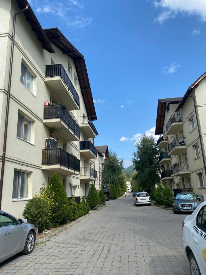 Wanderlust Home Cream, Rasnov Apt For 4, Wifi And Free Parking Exteriör bild